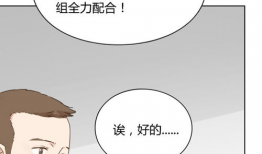 编程的漫画,漫画中的编程智慧之旅